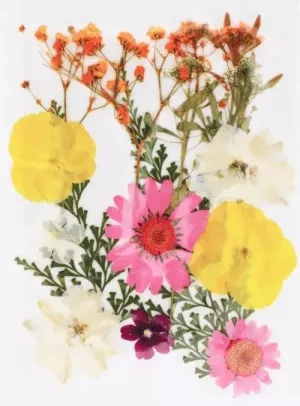 Flores Prensadas Naturales Rosa y Amarillo Artemio 25000020