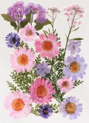 Flores Prensadas Naturales Rosa Artemio 25000021