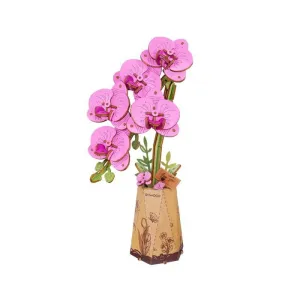 Purple Moth Orchid Rowood Tw091