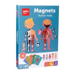 Magnets el Cuerpo Humano Apli 18531