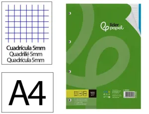 Recambios Liderpapel A4 100 Hojas Cuadricula 5Mm 4 Taladros 72246