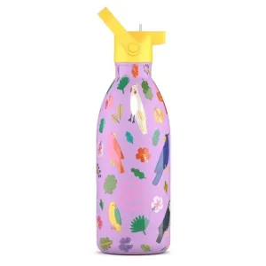 Botella Termica Acero Inoxidable Cool Bottles 500Ml Fly Free Cbbk50Ff